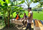 Bhabinkamtibmas Desa Padasuka Polsek Sukarame Polres Tasikmalaya AIPTU M. Safi’i melaksanakan kegiatan sambang Kamtibmas bersama warga masyarakat binaan di wilayah Desa Padasuka, Kecamatan Sukarame